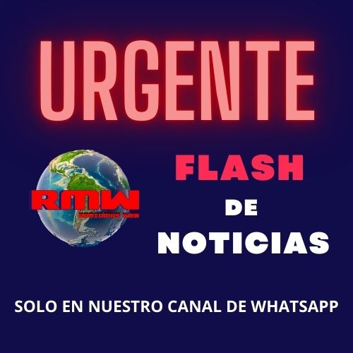 articulo-5